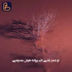 دانلود آهنگ تو شمع باشی دلم پروانته هوش مصنوعی